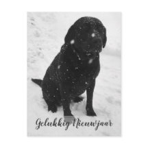 Foto Preto e Branco Feliz Ano Novo Cartão de Natal