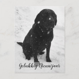 Postal Foto Preto e Branco Feliz Ano Novo Cartão de Natal