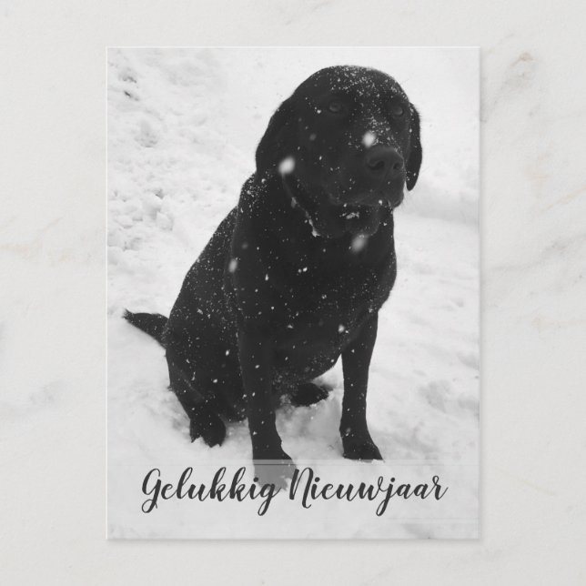 Postal Foto Preto e Branco Feliz Ano Novo Cartão de Natal (Frente)