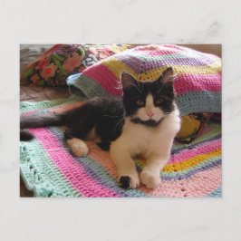 Postal Gato Tuxedo Fofo com Lindo Tapete de Crochê Cartão