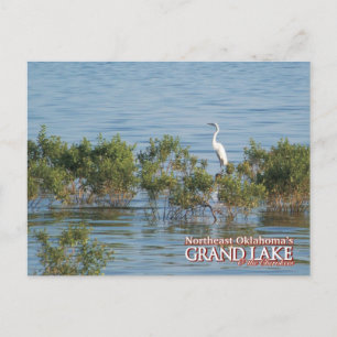 Postal Grand Lake Oklahoma posta cartão Egret