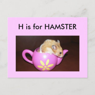 Postal "H" é para o cartão embutido alfabético de hamster