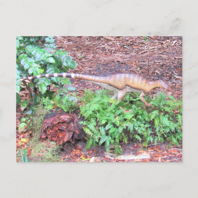 Postal Heterodontosaurus - Dinossauro - Cartão de Aprendi (Frente)