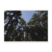 Hollywood - Cartão Saudável