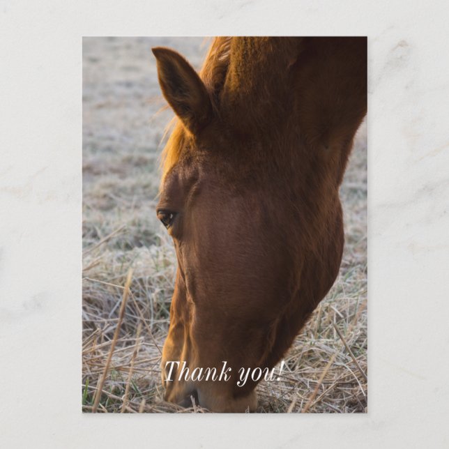 Postal Hora de Comer Cartão de Agradecimento (Frente)