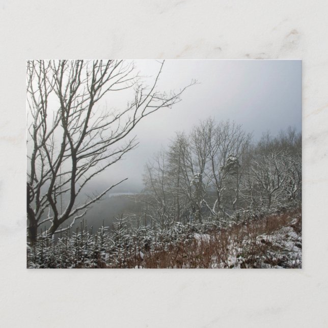 Postal Inverno no Cartão Florestal de Macclesfield (Frente)