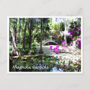 Postal Jardins da Plantação Magnolia Charleston SC Cartão