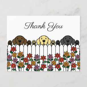 Postal Labrador Trio Assistindo Você Obrigado Cartão Post