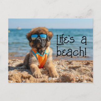 Postal Leonberger Puppy vestindo óculos escuros cartão po