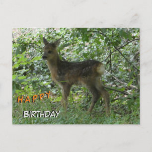 Postal Lindo cervo no cartão de aniversário personalizado