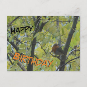 Postal Lindo Robin na Árvore Cartão de Aniversário