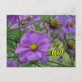 Postal Lindos Flores Cosmea Fique Bem Em Breve Cartão Pos