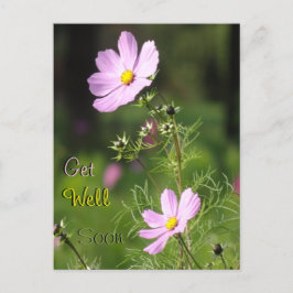 Postal Lindos Flores Cosmea Fique Bem Em Breve Cartão Pos