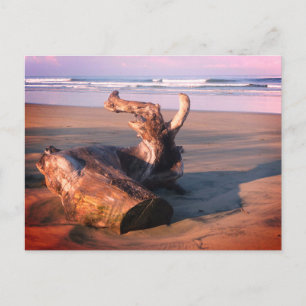 Postal Madeira Flutuante Costa Rica Praia Foto Cartão Pos
