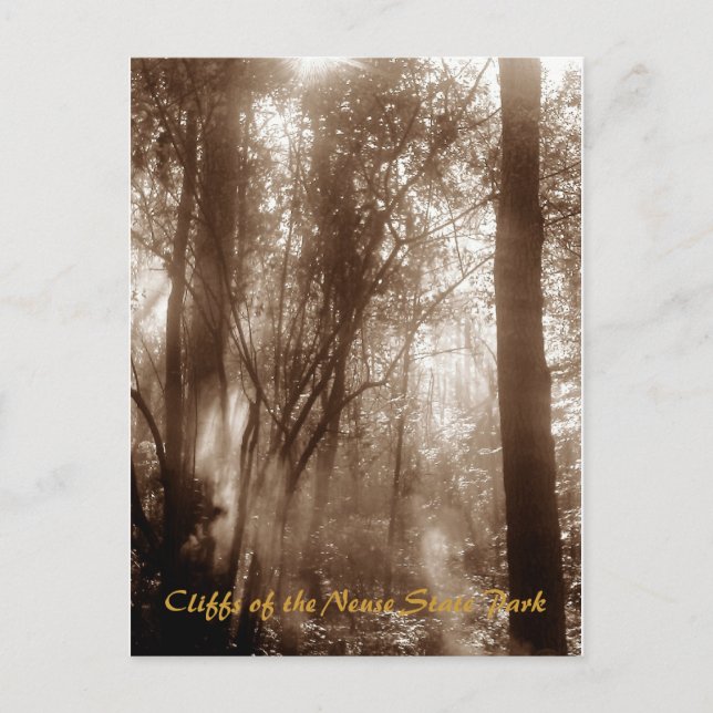 Postal Manhã místico CN1 - cartão (Frente)