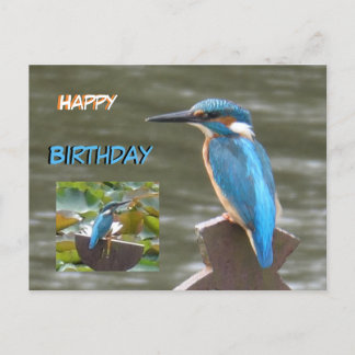 Postal Martim-pescadores Fofos Cartão de Aniversário