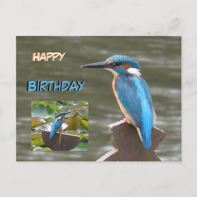 Postal Martim-pescadores Fofos Cartão de Aniversário (Frente)
