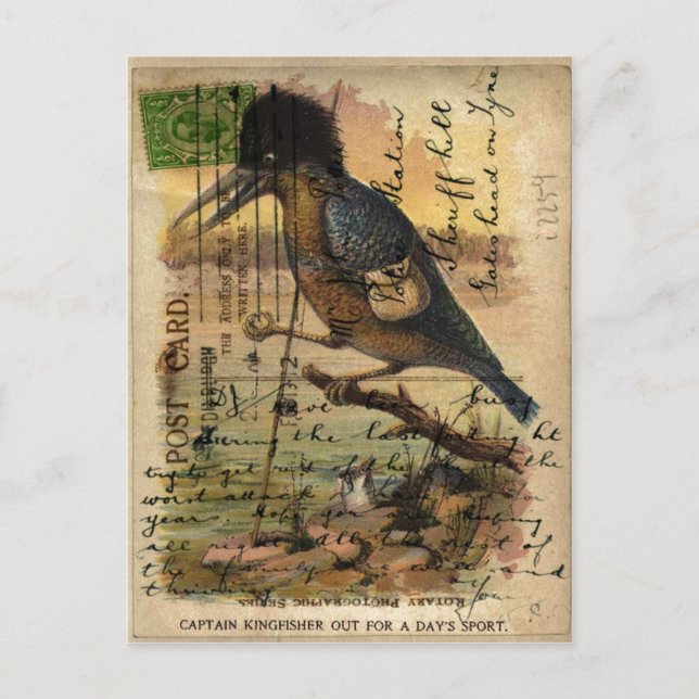 Postal Martinho pescatore do cartão (Frente)