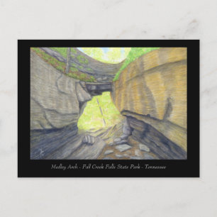 Postal Medley Arch Natural Bridge - Cartão de Arte Appala