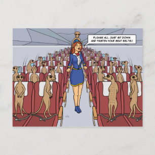 Postal Meerkats em um cartão plano