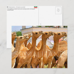 Postal Mercado de Camelos, Hargeisa, Somalilândia Cartão 