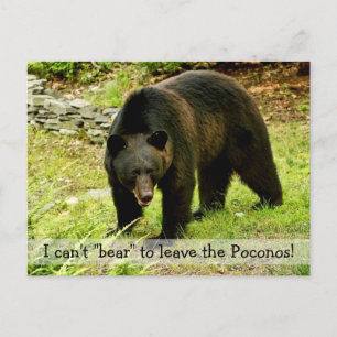 Postal Não é possível "Urso" para deixar o cartão pos