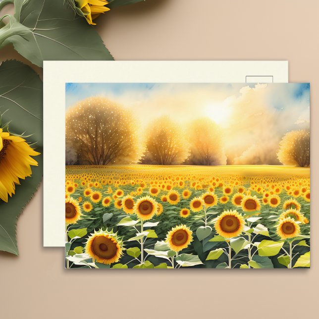 Postal Nascer do Sol Sobre um Campo de Girassóis Cartão P (🌻 Artistry at Sunrise: Sunflowers Postcard! 🎨)