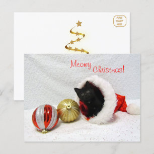 Postal Natal de Joon - Cartão de Trabalho de Gato / Gatin