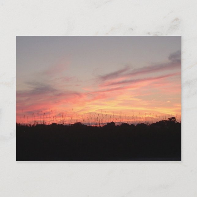 Postal Noite do cartão da série da serenidade (Frente)