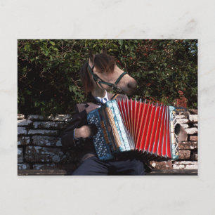 Postal O cartão accordian do jogador