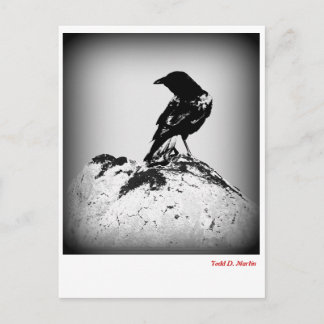 Postal O Cartão de Posto Crow