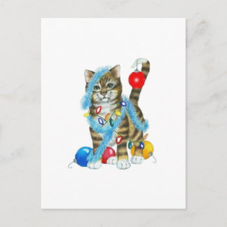 POSTAL O CARTÃO DECOROU O GATINHO
