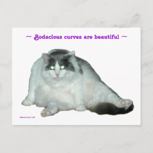 Postal O gato, curvas Bodacious é cartão bonito