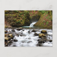 O véu nupcial cai cartão da cachoeira de Oregon