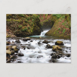 Postal O véu nupcial cai cartão da cachoeira de Oregon