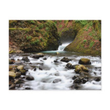O véu nupcial cai cartão da cachoeira de Oregon
