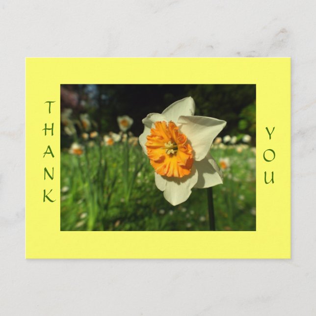 Postal Obrigado - cartão de flor brilhante (Frente)