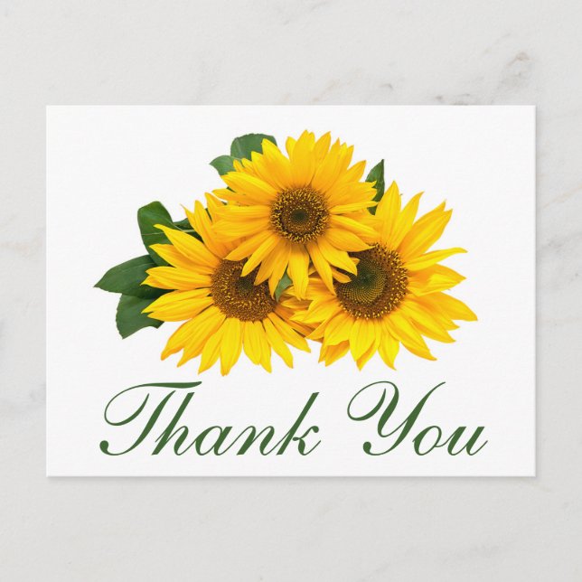 Postal Obrigado Sunflower Floral Greeting Cartão de Posta (Frente)