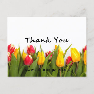 Postal Obrigado Tulips - Cartão Poste Personalizável