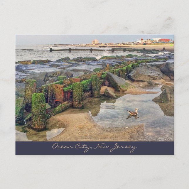 Postal Ocean City, Swimmer da Manhã do Cartão de Posto de (Frente)