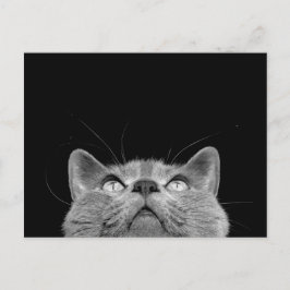 Postal Olhando acima - o cartão