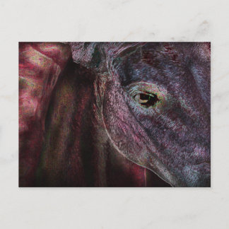 Postal Olho do Beholder - Cartão de Posto
