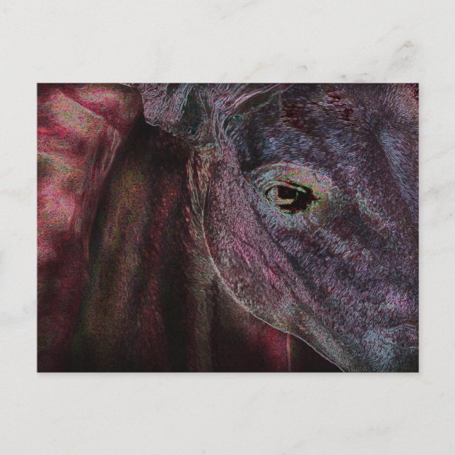 Postal Olho do Beholder - Cartão de Posto (Frente)