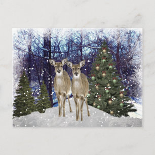 Postal Paisagem de Inverno Cervo e Árvore de Natal Cartão