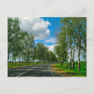Postal Paisagem Natural Cenário Rural Bielorrússia Cartão