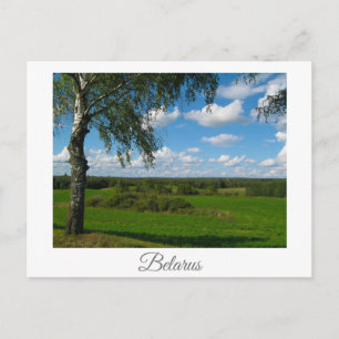 Postal Paisagem Natural da Natureza Bétula Belarus Cartão