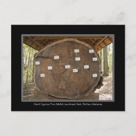 Postal Parque Landmark Histórico, Cartão de Posto Dothan 