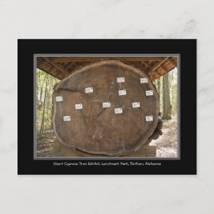 Postal Parque Landmark Histórico, Cartão de Posto Dothan 