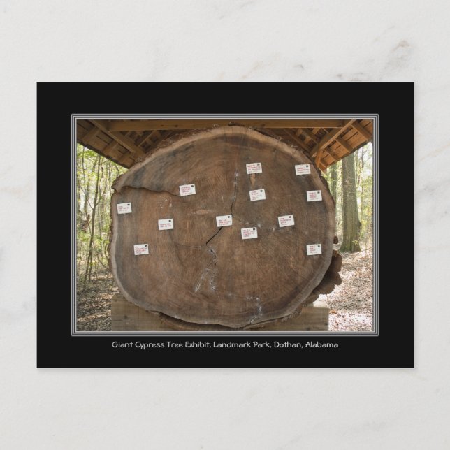 Postal Parque Landmark Histórico, Cartão de Posto Dothan  (Frente)