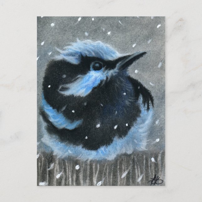 Postal Pássaro azul no CARTÃO de neve (Frente)